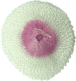 Campingaz Gas Mantles -Outwell || Vango || Fiamma Sales Store 71y07qrscss. ac sl1500