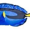 WSB Blue Tang Fish Pillow 50cm -Outwell || Vango || Fiamma Sales Store blue tang