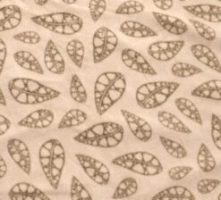 Robens Wolf Moon 5XP Tent Package -Outwell || Vango || Fiamma Sales Store robens carpet 1